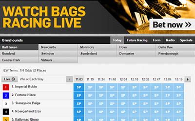 betfair forum|betfair forum greyhounds.